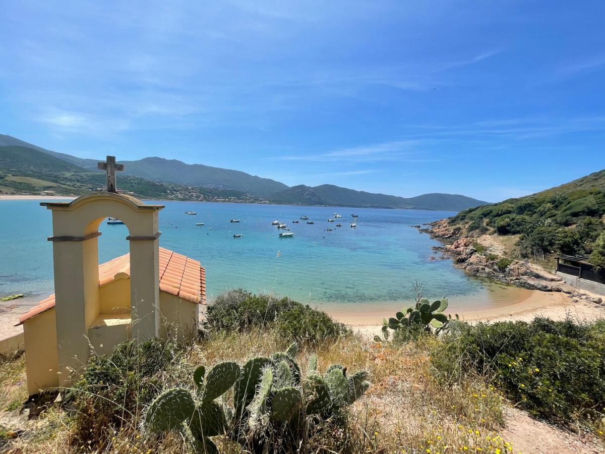 Verginaccia - Appartement 4 Couchages Pour Des Vacances En Bord De Mer 阿帕涅托 外观 照片