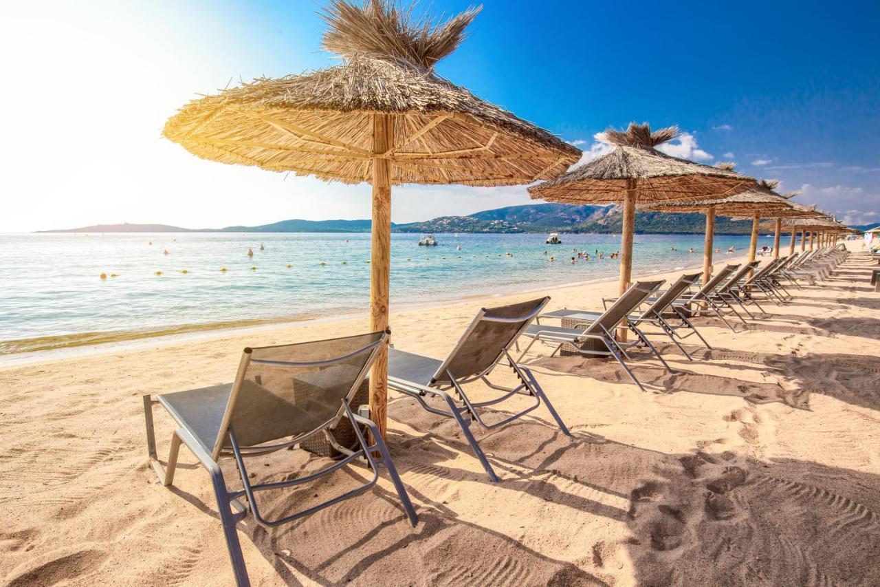 Verginaccia - Appartement 4 Couchages Pour Des Vacances En Bord De Mer 阿帕涅托 外观 照片